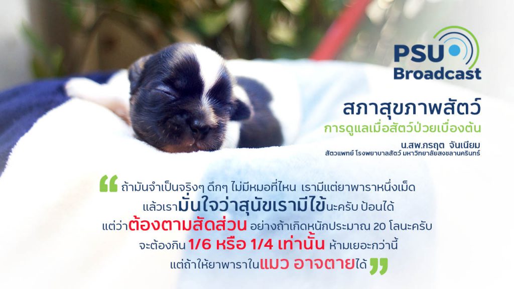 สุขภาพสัตว์
